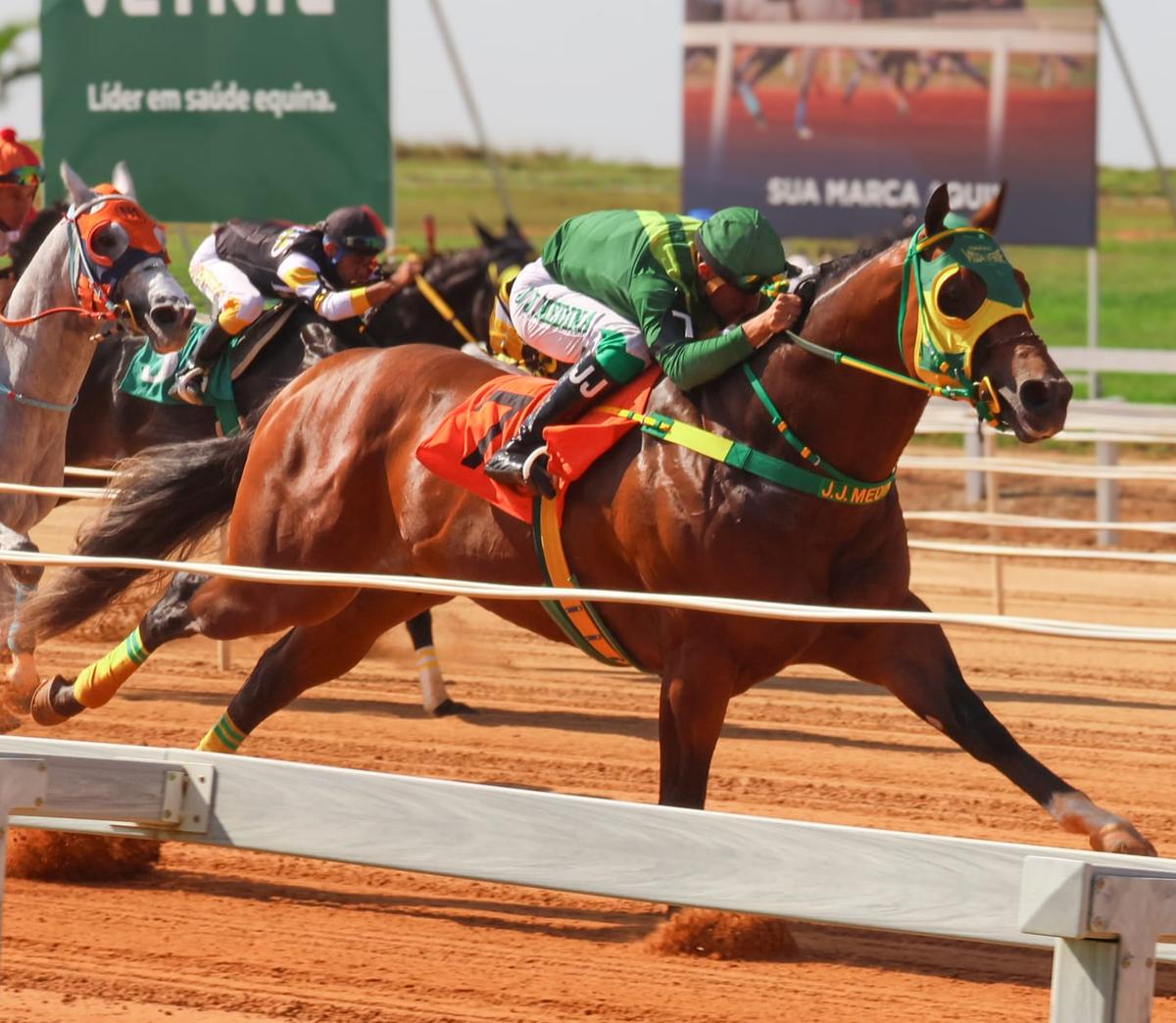 Hercules Verde Shows Clear Superiority in Brazil’s GP Taça de Prata