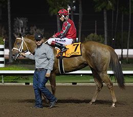 Ed Burke Million Futurity winner Up To Party after the race.