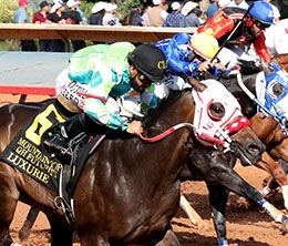 Mountain Top QH Futurity winner Luxurie will head the $350,000-est. New Mexico CLassic Cup Futurity(RG2) trials at Albuquerque Saturday.