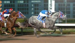 AQHA Racing Word Champion Wave Carver.