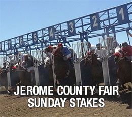 Jerome County Fair