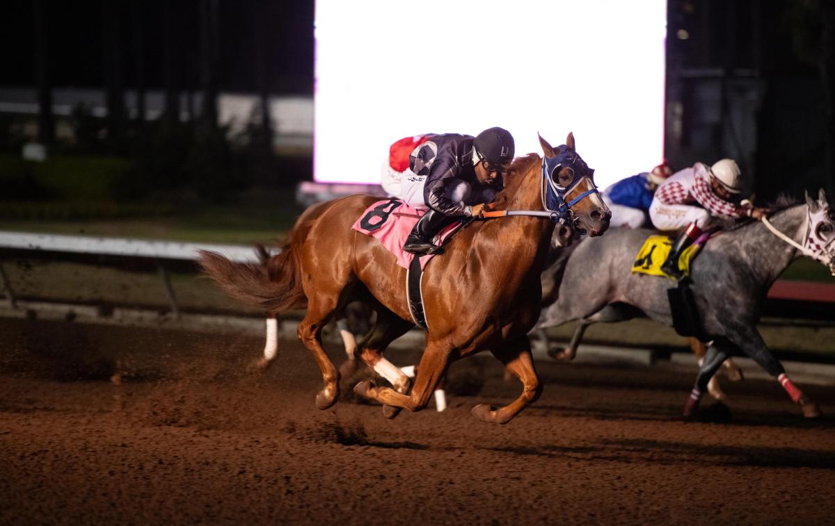 Political Twist Has Fastest Time In Super Derby Trials; Star-Studded Field Set For $641,950 Grade 1 Final