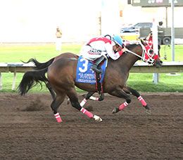 Ruidoso Hezgothelook Z (#3) battles Kj Bad Moon Rising (inside) to one of the closes finishes in the history of the All American Futurity.