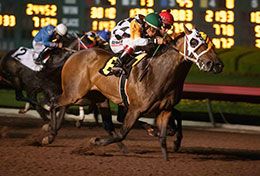 Market Analyst, under jockey Cruz Mendez, wins the Rolling A Ranch Stakes on Saturday.