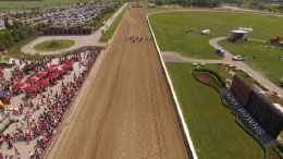 Ajax Downs