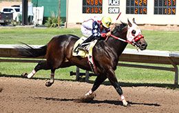 Rovos Rail, finished second in the fastest trial to post the second fastest time.