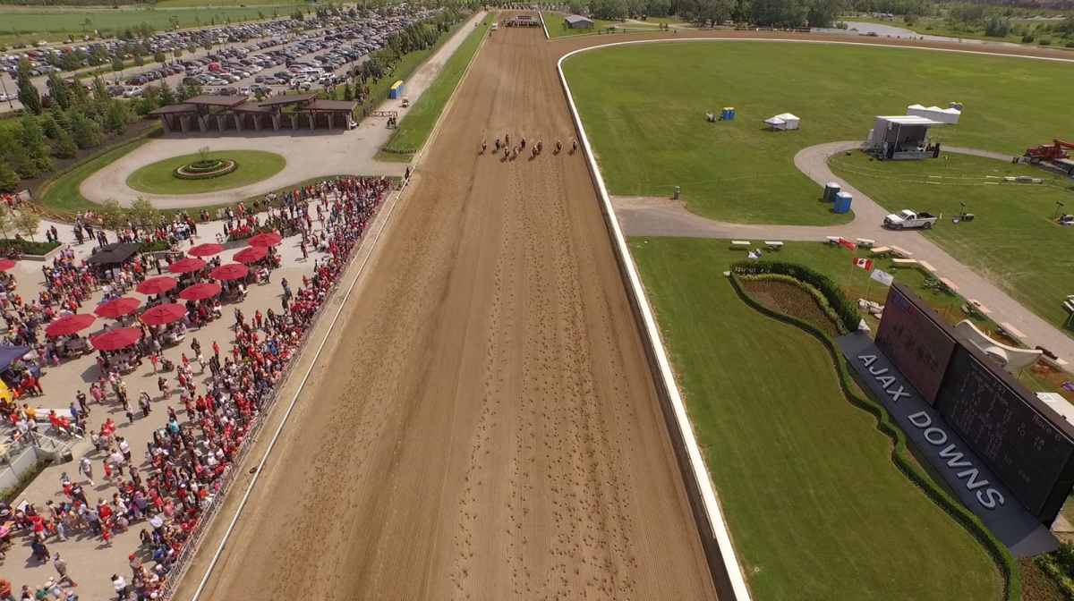 Peighntmeadiamond Rolls To Fourth Straight Win In Ontario Sires Stakes Maturity