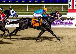 Hodges Photography