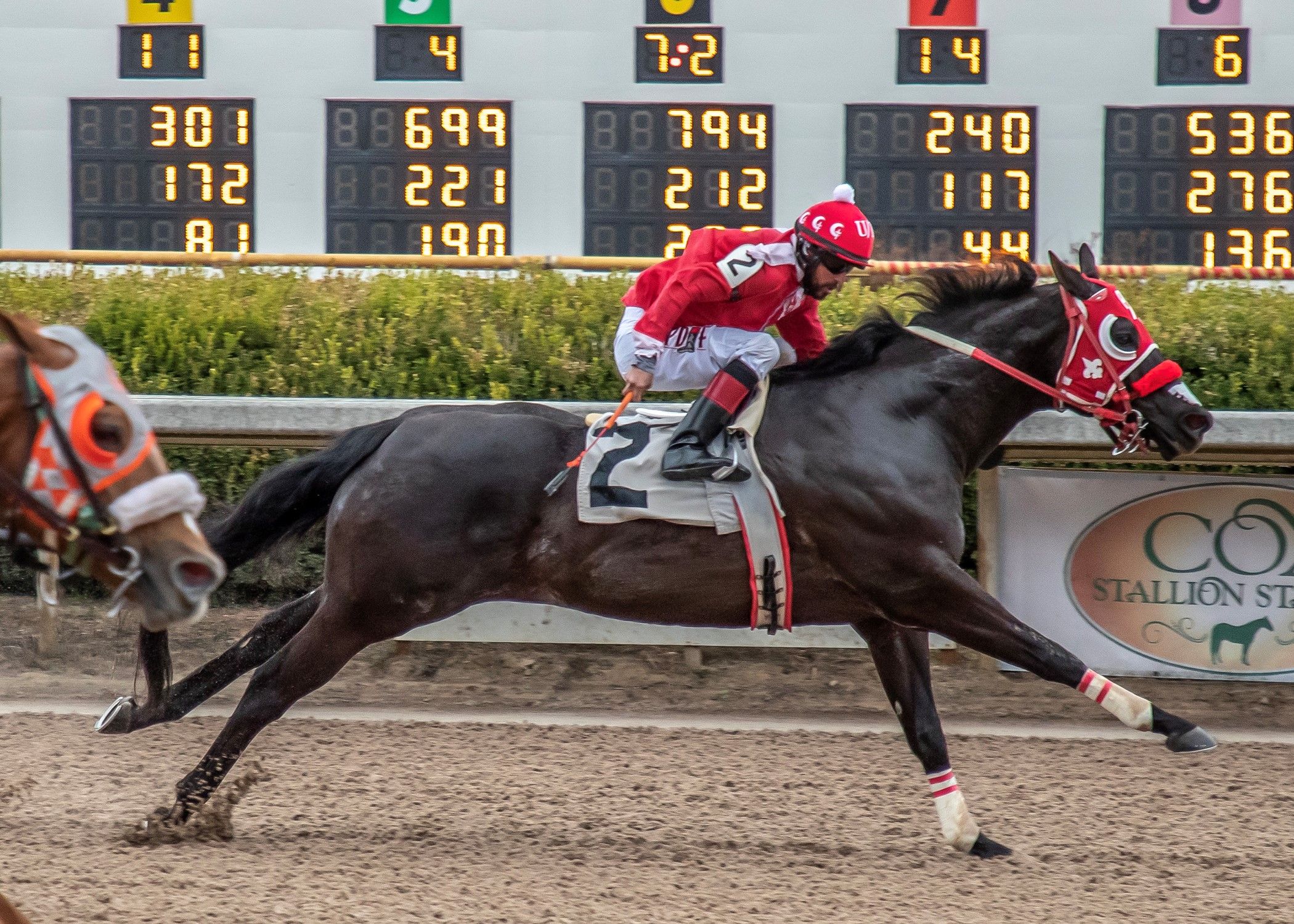 20-time winner, Tuckers Prize, wins a Feature Allowance at Louisiana Downs in 2023.