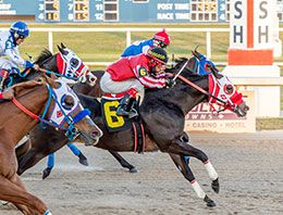 Apolitical Chick (#6), under jockey Arnulfo Gutierrez, posted the second fastest time in the Louisiana Million Futurity trials on November 29.