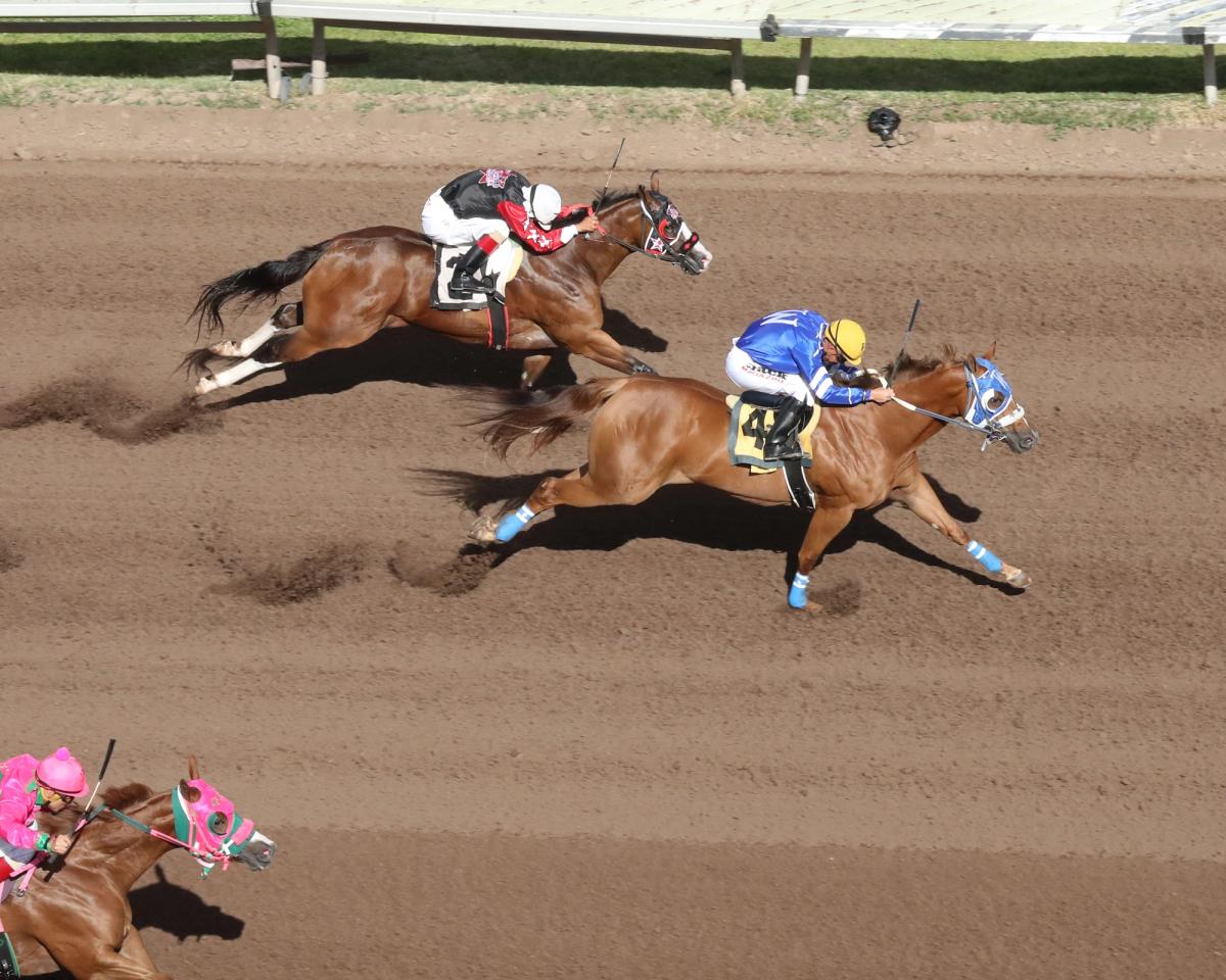 Flying Joy 1 Springs 33-1 Upset in $694,186 All American Oaks