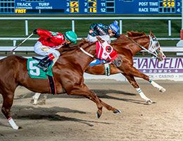 The winning connections of San Lorenzo Chrome battles fellow qualifier Right Down Broadway in the fourth trial on Friday at Evangeline Downs.