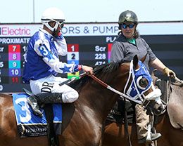 Celtic Cartel and jockey Rolonado Pina in the Maiden Stakes post parade at Horseshoe Indianapolis.