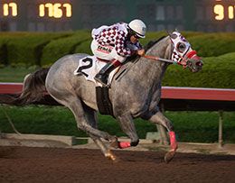 Champion jockey Rodrigo Vallejo rode Beuteeful to victory in the second trial.