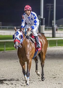Davsam and jockey Juan Garcia, Jr., return after winning the Grade 2 Firecracker Futurity at Delta Downs.