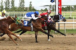 Flo Sixes Ridin won the second trial under jockey Connie McKenzie.