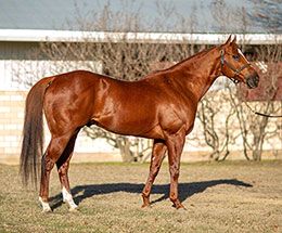 Rancho Los 3 Reyes