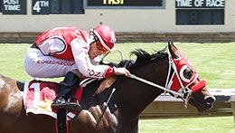 Hezgothelook Z and jockey Bryan Candanosa has been made the 2-1 morning line favorite in the $3 million All American Futurity.