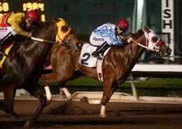 Defending Champ (#4) winning the closing trial.