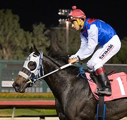 Los Alamitos