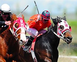 Pocatello Downs