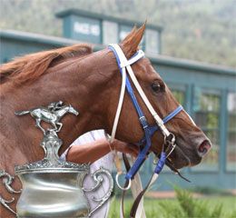 The #2 All-Time Leading Money Earner Ochoa pictured with the 2011All American Futurity trophy at Ruidoso Downs.
