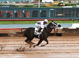 Ruidoso Downs Race Track