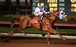 Walking Tool, under jockey Cruz Mendez, qualifying in trial four.
