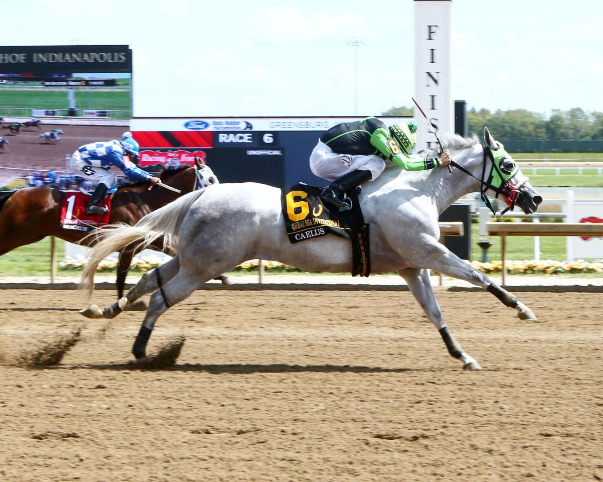 Caelus a Trailblazer in QHRAI SSA Derby Invitational Stakes