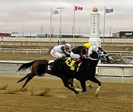 Century Downs
