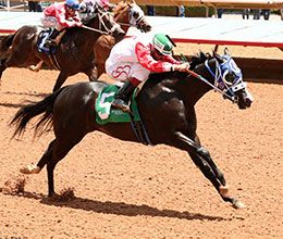 Remarkable Cowgirl, under jockey Sergio Becerra, Jr., qualifying in the sixth trial on Saturday.