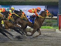 Miguel Angel Espinoza / Hipodromo de Las Américas