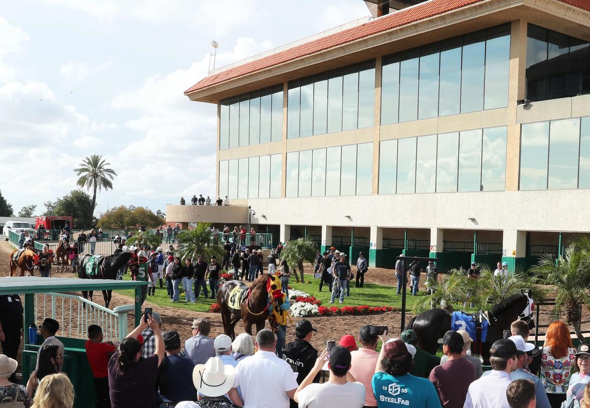 Turf Paradise Faces Management Uncertainty Ahead Of Nov. 27 Meet