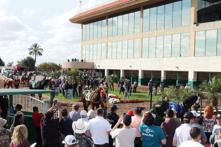 Dead Line Nov Arizona Quarter Racing & Breeders Announces 2026-27 Race Dates, Fall ...