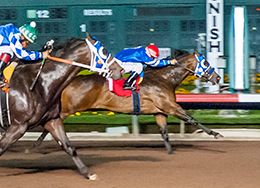 Los Alamitos
