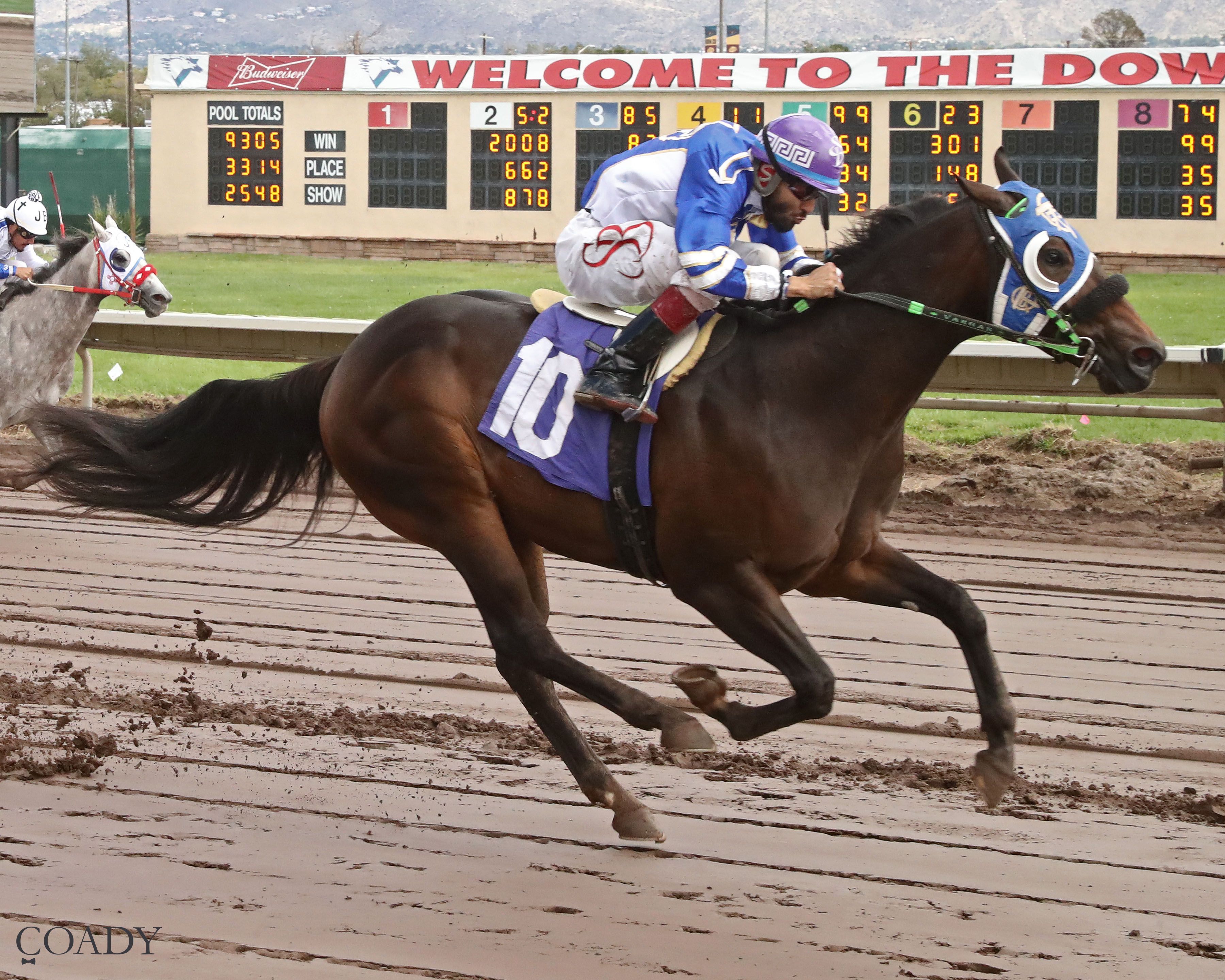 New Mexico-Bred Stars Chase Championship Glory In $850,000 Stakes Showcase at Albuquerque Downs
