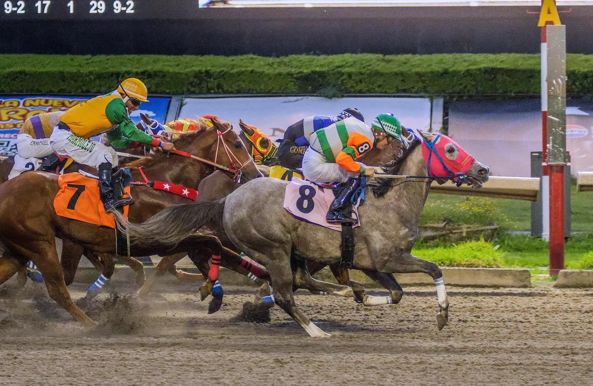 Red Stolen Show Earns First Stakes Victory in Futurity Desafío Crianza Mexicana Consolation