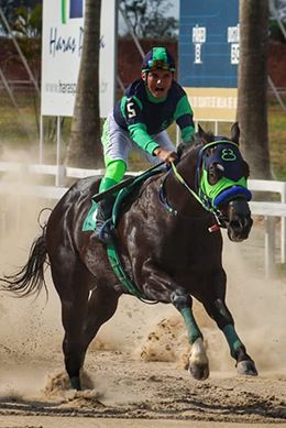 Mio Coraggio (Granite Lake x Jess Because, by Mr Jess Perry).