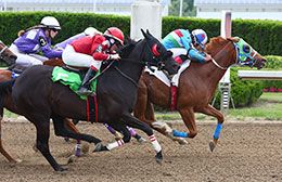 Senator Rose, under jockey D.I. Benitez, won the second trial at Ajax Downs Wednesday.