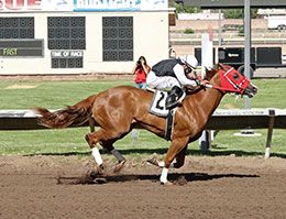 Think Twice Perry, under jockey Christian Cardenas, posted the third fastest time in trial #12.