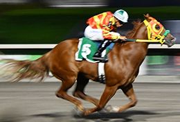 El Ilusionista Sr, ridden by Paul Osvaldo Rodriguez, wins the $19,200 Mexico Bred Futurity Challenge at the Hipodromo de las Americas on Sunday.