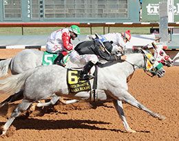The $50,00 Vista Distaff Stakes on Saturday ended in a close finish at Ruidoso Downs Racetrack & Casino.