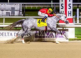 Hodges Photography
