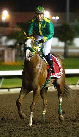 Jess Im Worth It and jockey Ricardo Ramirez. Return after winning the Ed Burke Million Futurity on Sunday night.