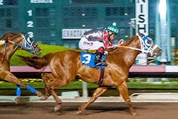 Trainer Jose Flores conditions the talented juvenile gelding Tempting Max.