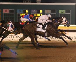 The first of three grade 1 futurity wins for Stolis Winner came in the Heritage Place Futurity(G1) at Remington Park.