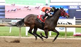 Zoomin Feature and jockey Edgar Diaz were all alone at the wire in the closing trial on Thursday.