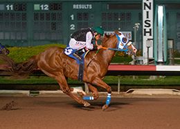 Los Alamitos