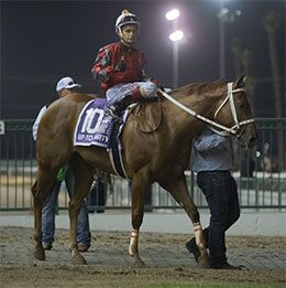 Up To Party entering the PCQHRA Breeders' Futurity winner's circle at Los Alamitos Race Course.