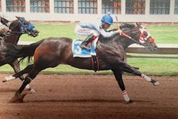 Condigo, under jockey Adrian Ramos, qualifies for the $157,542 Grade 3 John Deere Ruidoso Juvenile at The Downs at Albuquerque.